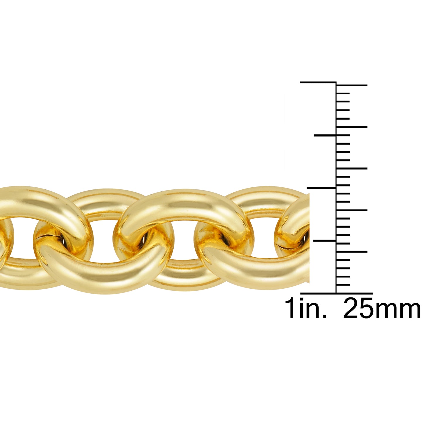 8" Large Rolo Link Bracelet